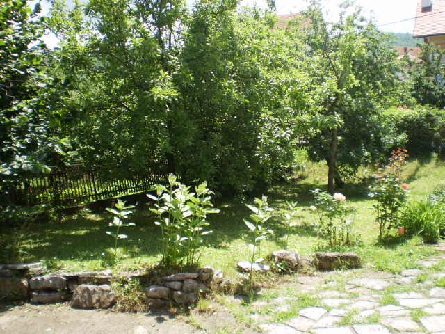 Studio Elizabeta Sokobanja Exterior foto
